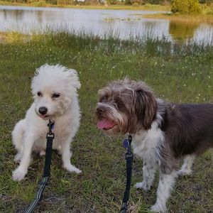 Meet your Posher, Daysi